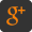 SaveCRM social icon