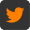 SaveCRM social icon